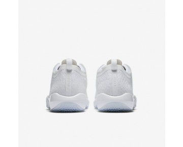 Chaussure Nike Jordan Trainer 1 Low Pour Homme Fitness Et Training Blanc/Platine Pur/Blanc_NO. 845403-100